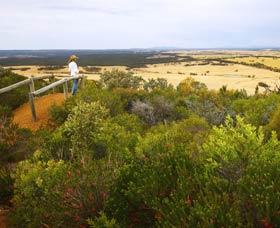 Archer Drive Scenic Drive And Lookout - Tourism Brisbane 0