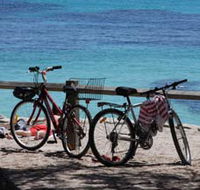 Parker Point Marine Snorkel Trail - Tourism Brisbane