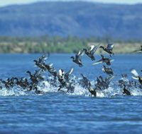 Ord River - Tourism Brisbane