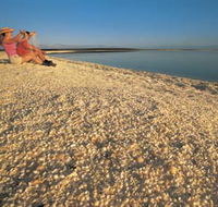 Shell Beach - Tourism Brisbane