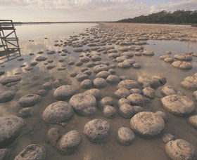 Yalgorup National Park - Brisbane Tourism 0