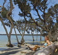 Stokes National Park - Tourism Brisbane