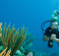 Coastal Water Dive - Tourism Brisbane
