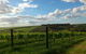 Plantagenet Wines - thumb 1