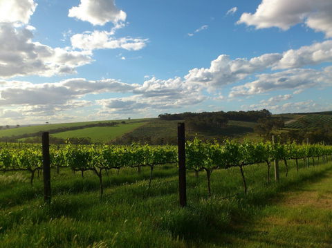 Plantagenet Wines - Brisbane Tourism 1