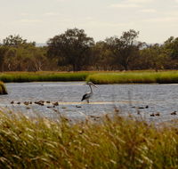 Anytime Adventures in Mandurah  the Peel Region - Tourism Brisbane