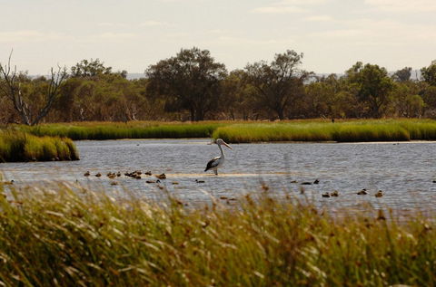 Anytime Adventures In Mandurah & The Peel Region - Tourism Brisbane 0