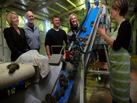 Eyre Peninsula's Seafood Trail - Tourism Brisbane 0