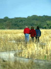 Onkaparinga River Recreation Park - Tourism Brisbane 0