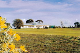 Lucindale Country Club - Brisbane 4u 0