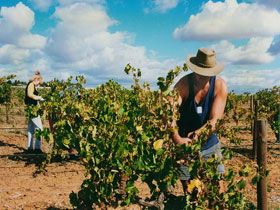 Torbreck Vintners - Brisbane Tourism 0
