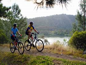 Mount Gambier Crater Lakes Mountain Bike Trail - Tourism Brisbane 0