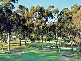 Tanunda Pines Golf Club - Tourism Brisbane 0
