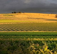 Kellermeister Wines - Brisbane Tourism
