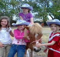 Amberainbow Pony Rides - Brisbane Tourism
