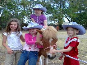 Amberainbow Pony Rides - Tourism Brisbane 0