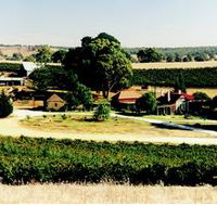 Irvine Wines - Brisbane Tourism