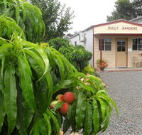 Gully Gardens - Brisbane Tourism