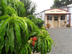 Gully Gardens - Brisbane Tourism 0