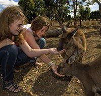 Kangaroo Island Wildlife Park - Brisbane 4u