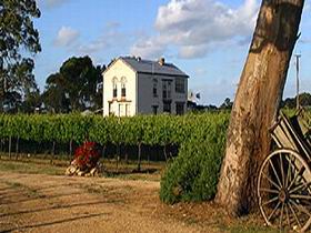 Highbank Vineyards - Brisbane Tourism 0