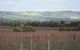 Mclaren Vale Premium Wines - thumb 0