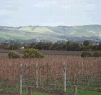 Mclaren Vale Premium Wines - Tourism Brisbane
