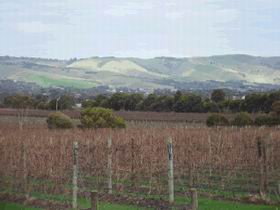 Mclaren Vale Premium Wines - Tourism Brisbane 0