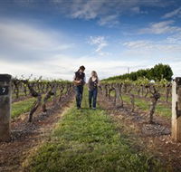 Coonawarra Wineries Walking Trail - Tourism Brisbane