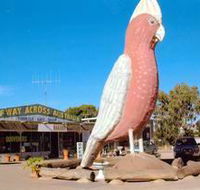 The Big Galah - Tourism Brisbane