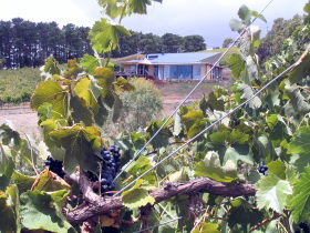 Zimmermann Wine - Brisbane 4u 0
