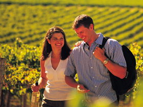 Shakespeare Avenue Pty Ltd - Tourism Brisbane 0