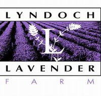 Lyndoch Lavender Farm and Cafe - Brisbane Tourism