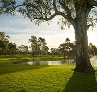 Serafino Wines
