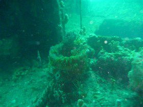 Wallaroo Scuba Club - Brisbane Tourism 0