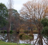 Gemtree Wetlands Ecotrail - Tourism Brisbane