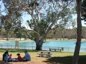 Naracoorte Nature Park And Swimming Lake - Tourism Brisbane 0