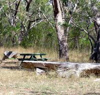 Penola Conservation Park - Tourism Brisbane