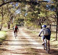 Bike About Mountain Bike Tours And Hire - Brisbane 4u