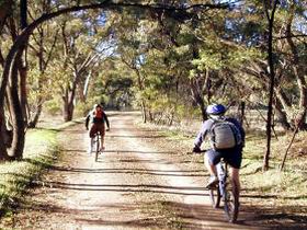 Bike About Mountain Bike Tours And Hire - Brisbane 4u 0