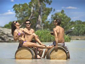 Caudo Vineyard Cellar Door - Tourism Brisbane 0