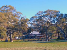Old Wilpena Station - Tourism Brisbane 0