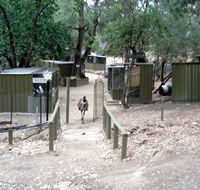 Humbug Scrub Wildlife Sanctuary - Tourism Brisbane
