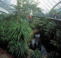 Bicentennial Conservatory - Tourism Brisbane