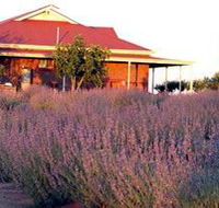 Bella Lavender Estate - Tourism Brisbane