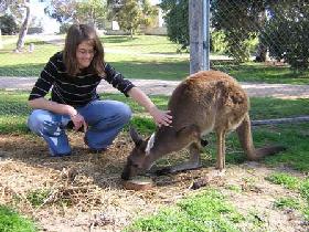  Brisbane Tourism
