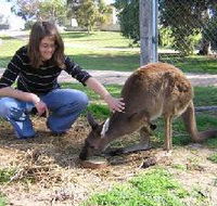 Pendleton Farmstay - Brisbane Tourism