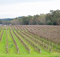 Dennis Wines - Tourism Brisbane