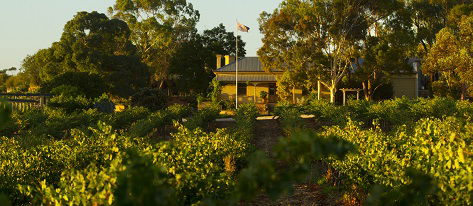 Greenock Creek Wines - Brisbane Tourism 2