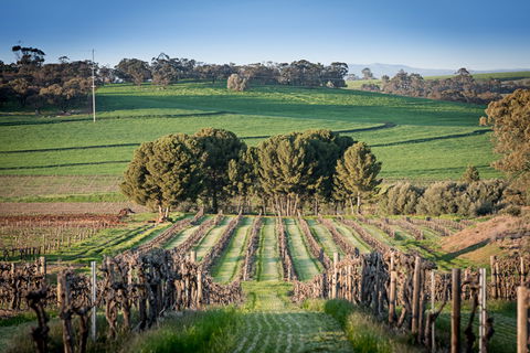 Heritage Wines - Brisbane Tourism 1